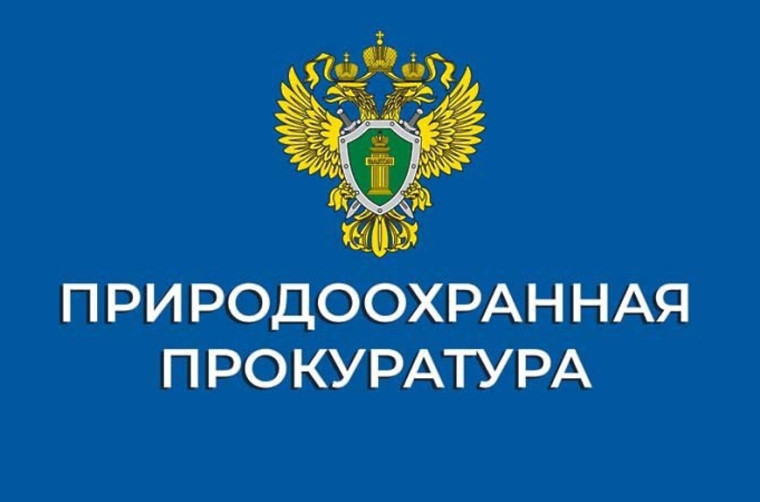 Информационное сообщение. Информационное сообщение.